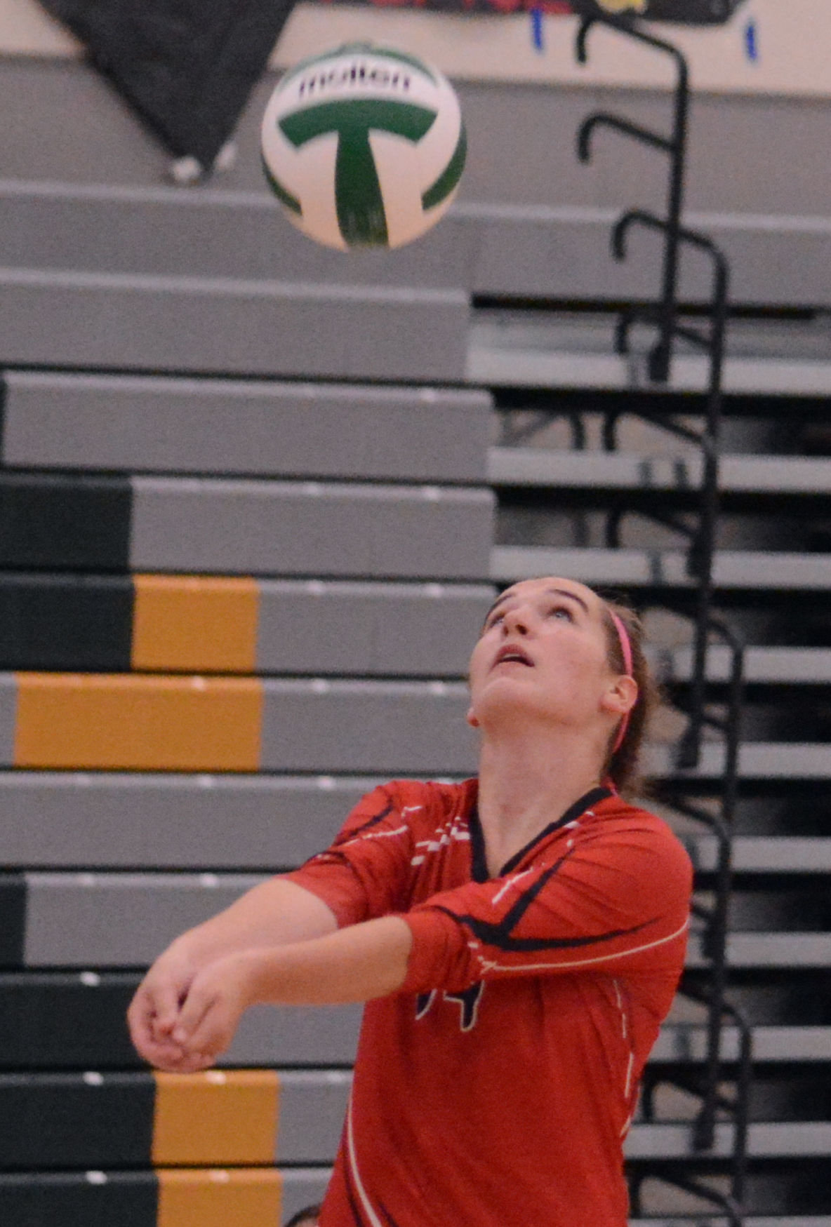 Olivia Paukner.jpg